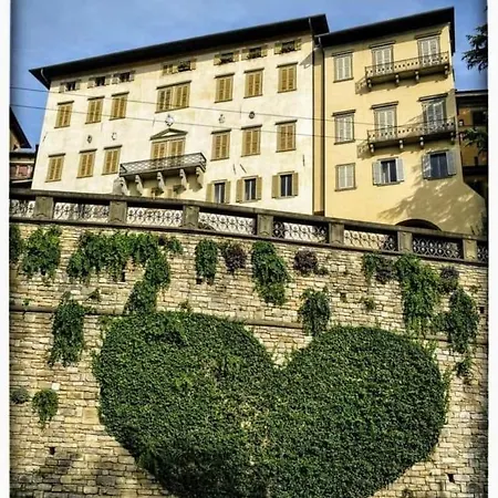 Appartement Smart Gold Elegant Style