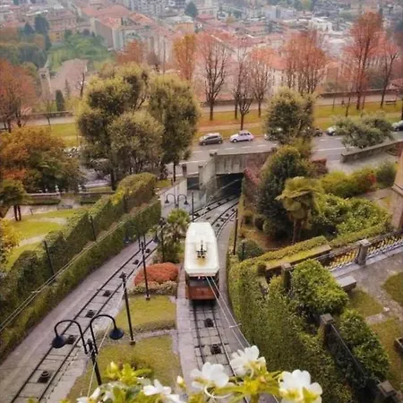 Smart Gold Elegant Style * Bergamo