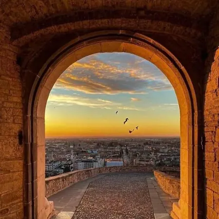 Smart Gold Elegant Style *