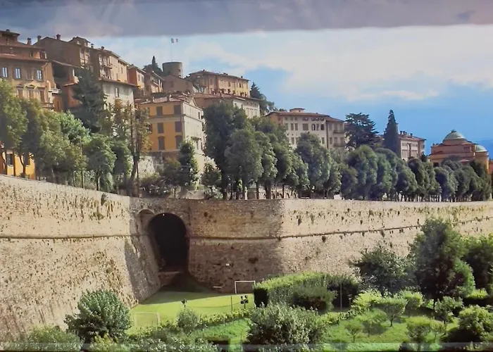 Smart Gold Elegant Style * Bergamo