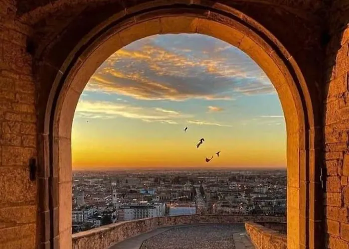 Smart Gold Elegant Style *